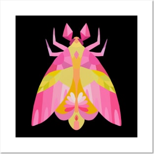 Geometric Pink Maple Moth Insect in Digital Posters and Art